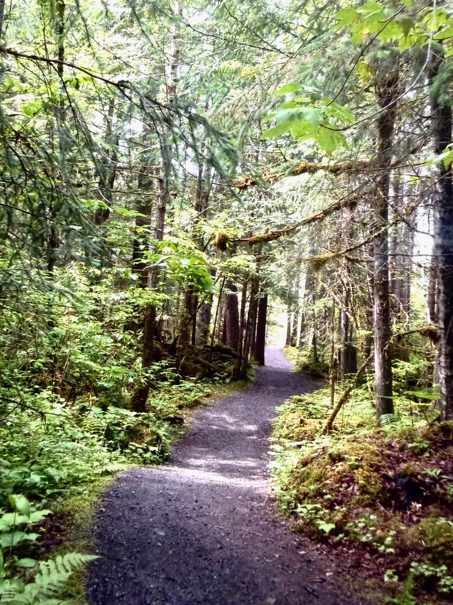 Rainforest hikes