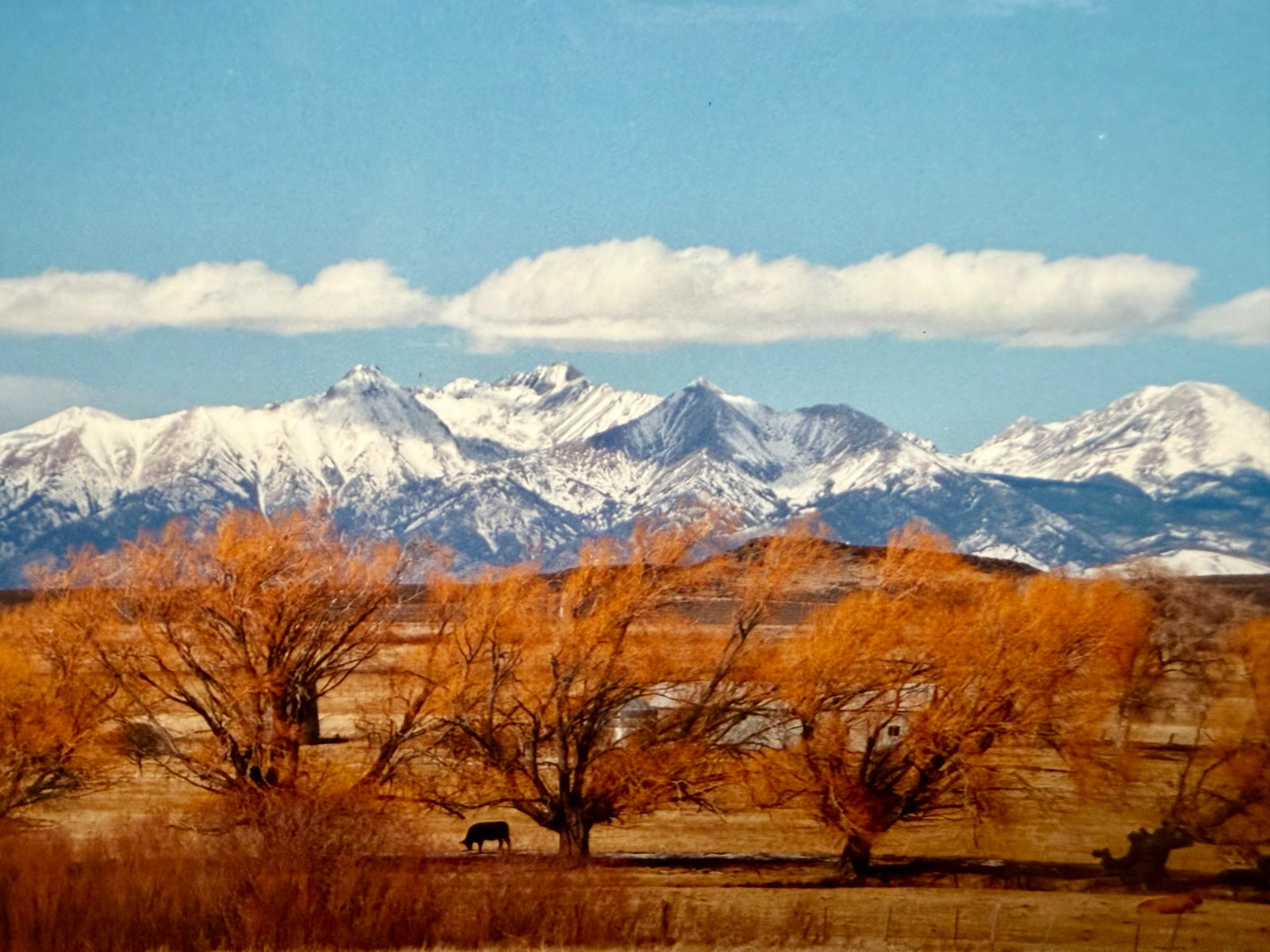 Taos New Mexico ....great skiing
